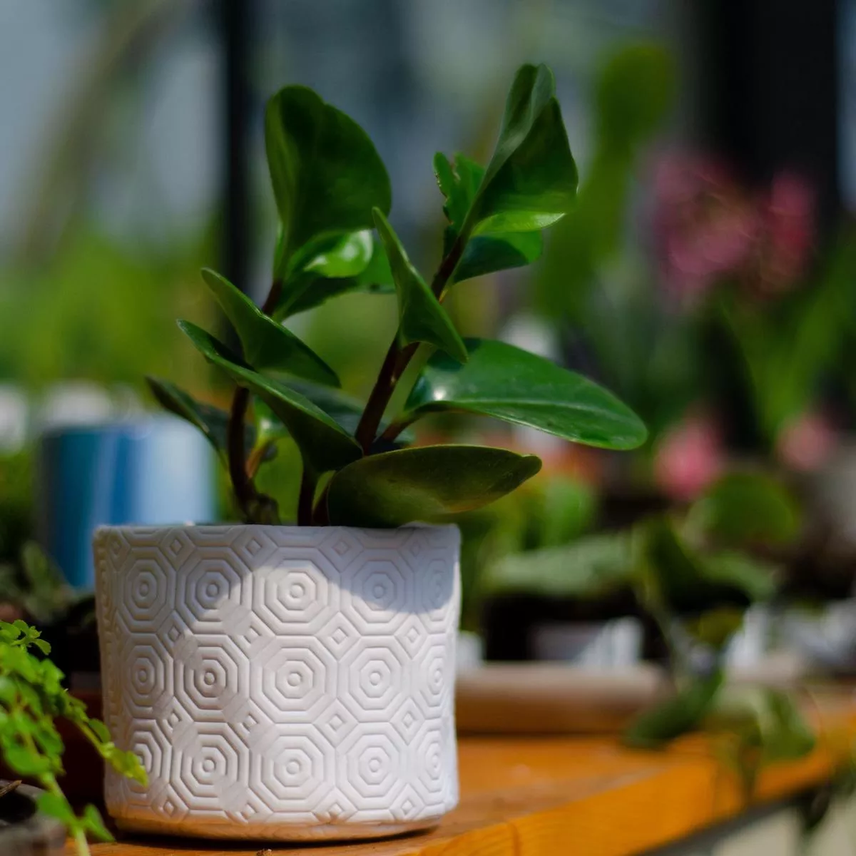 4 ” handmade fabric pot