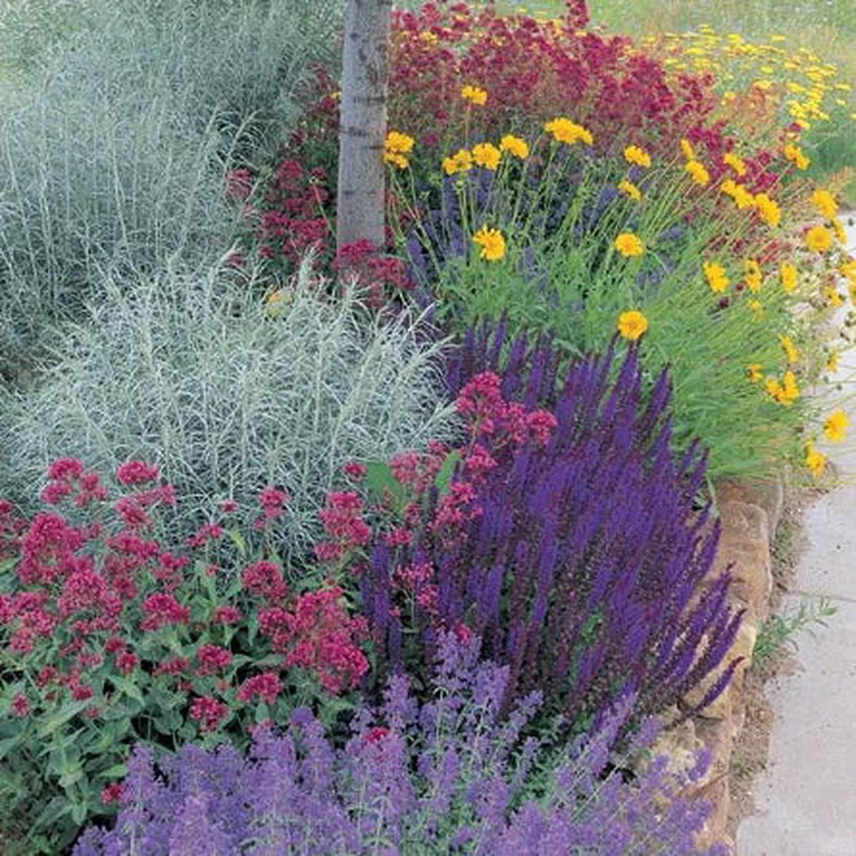 Jumbo Waterwise Pre-Planned Garden For The West Coast