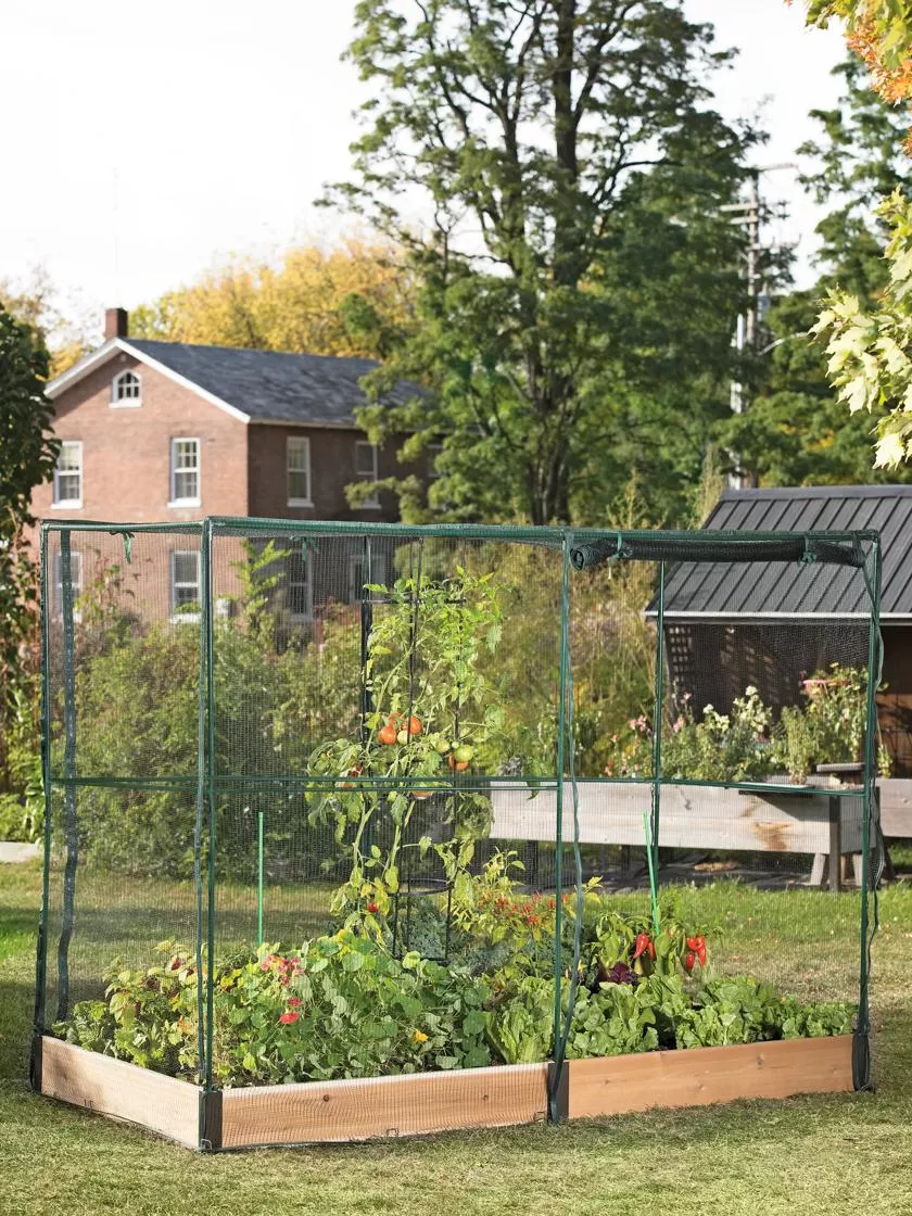 Pest-Free Garden Bed (7.25″ D)